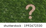 Small photo of Landscaping questions and Lawn disease question mark as grub damage damaging grass roots causing a brown patch and drought area in the turf representing gardening information or garden help.