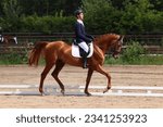 Small photo of Horse dressage rider in training manege