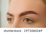Small photo of Beautiful blonde with laminated eyebrows. Close-up of laminated and stained eyebrows. Eyebrow Care Trend. Laminating and Extension for Lashes. Beauty Model with Long Eyelashes and Brows.