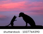 Dog and cat silhouette with...