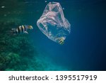 Single use plastic bag floating in the blue water next to the coral reef among fish, ocean pollution