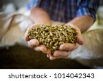 Close up image of hands holding animal feed at a stock yard