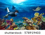 young men snorkeling exploring underwater coral reef landscape background  in the deep blue ocean with colorful fish and marine life