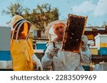 Small photo of Beekeepers checking honey on the beehive frame in the field. Small business owners on apiary. Natural healthy food produceris working with bees and beehives on the apiary.