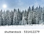 Winter landscape with snowy trees and snowflakes. Christmas greeting concept