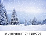 Fairy winter landscape with fir trees and snowfall. Christmas greetings concept