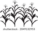 Corn stalk black and white vector design