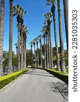 Small photo of IRVINE, CALIFORNIA - 27 MAR 2023: Palm Lined Drive in the Irvine Ranch Historic Park leading to the Katie Wheeler Library.