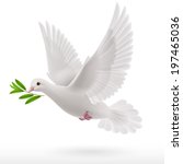 Dove Flying With A Green Twig...