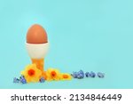 Small photo of Brown egg for breakfast in novelty eggcup with Spring flowers on pastel blue background. Minimal Springtime flora and Easter natural fresh healthy food concept.