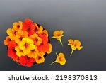 Nasturtium Flowers For Herbal...