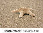 starfish on sand | Shutterstock . vector #102848540