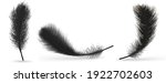 black feather on a white... | Shutterstock .eps vector #1922702603