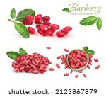set of spicy dry barberry with... | Shutterstock .eps vector #2123867879
