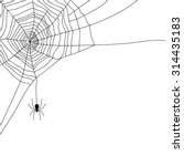 spider and web isolated on... | Shutterstock .eps vector #314435183
