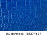 Luxury Blue Crocodile Texture