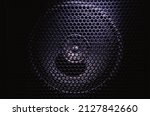 Small photo of Details of speaker membrane, behind black metal grid.