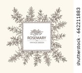 background with rosemary.... | Shutterstock .eps vector #662211883