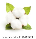 cotton plant flower isolated on ... | Shutterstock . vector #1110029429