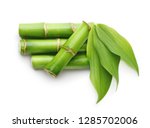 Branches Of Bamboo Isolated On...