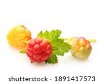 cloudberry berry isolated on... | Shutterstock . vector #1891417573