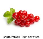 red currant isolated on white... | Shutterstock . vector #2045295926