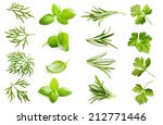 parsley herb  basil leaves ... | Shutterstock . vector #212771446