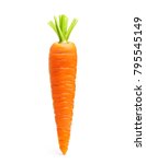 Carrot Isolated On White...