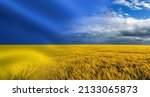 Small photo of Symbol of Ukraine - Ukrainian national blue yellow flag with closeup of harvest of ripe golden wheat rye ears under a clear blue sky in background