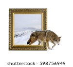 Wolf in old wooden frame with...
