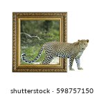 Leopard in old wooden frame...