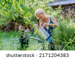 Happy senior woman taking care of flowers outdoors in garden, watering with can.