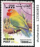 Afghan   Circa 1999  A Stamp...