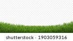 green grass border isolated... | Shutterstock .eps vector #1903059316