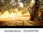 Wooden Table With Olive Tree