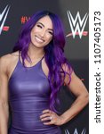 Small photo of LOS ANGELES - JUN 6: Sasha Banks at the WWE For Your Consideration Event at the TV Academy Saban Media Center on June 6, 2018 in North Hollywood, CA