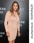 Small photo of LOS ANGELES - OCT 24: Caitlyn Jenner at the "Hacksaw Ridge" Screening at Samuel Goldwyn Theater on October 24, 2016 in Beverly Hills, CA