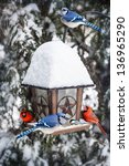 Bird Feeder In Winter With Blue ...
