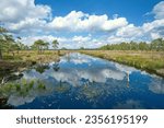 Small photo of Groundless moor in Lower Saxony. Nature reserve with a moor landscape. Sky in lake, Windows wallpapers, Regenerationrehydration area of the Venner Moor bog, Osnabrueck-Land, Lower Saxony, Germany