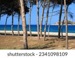 Small photo of Lido delle Rose beach (Spiaggia del Lido delle Rose). Sandy beach in Lotzorai in Sardinia island, Italy.