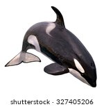 Killer Whale  Orcinus Orca ...