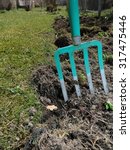 Small photo of Gardening with a dung fork