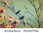 Vintage spring image with swallows and tree  blossom.Textured old paper background with conceptual nature springtime image 