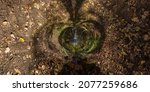 Small photo of 360 degree hyperbolic tunnel panorama projection of spherical panorama in sunny autumn day in pine forest with blue sky