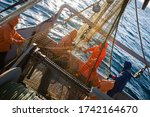 Fishermen choose a trawl with fish on board the ship in Japanese Sea