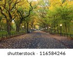 Central Park. Image Of  The...