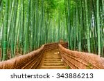 Kyoto  Japan At The Bamboo...
