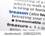 Small photo of close up photo of the word treason