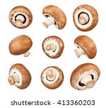 Mushrooms Isolated