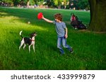 Small photo of The little fellow trains a dog in park. He holds a red disk in hand. The dog has opened a mouth and has flicked out tongue language. She was tired.